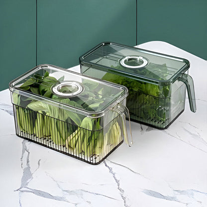 Perfecta Caja de Nevera